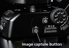 Ni-E-尼康研究級(jí)生物顯微鏡-上海思長(zhǎng)約光學(xué)經(jīng)銷